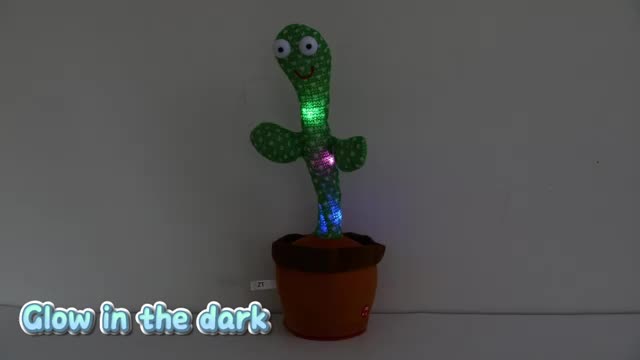 Cactus toy