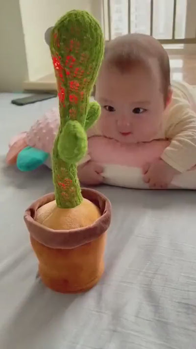 Cactus toy